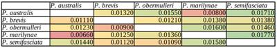 The Genetic Differentiation of Pyrrhulina (Teleostei, Characiformes) Species is Likely Influenced by Both Geographical Distribution and Chromosomal Rearrangements